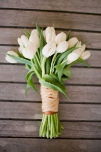 Bouquet of tulips